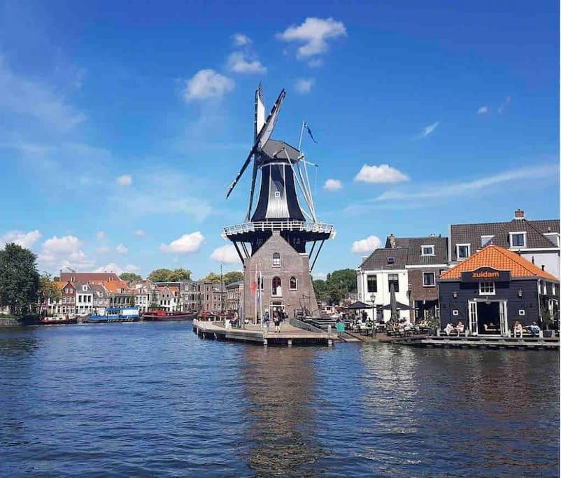 Appartement Met Tuin In Haarlem Centrum エクステリア 写真