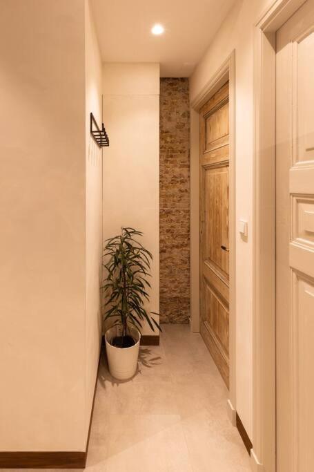 Appartement Met Tuin In Haarlem Centrum エクステリア 写真